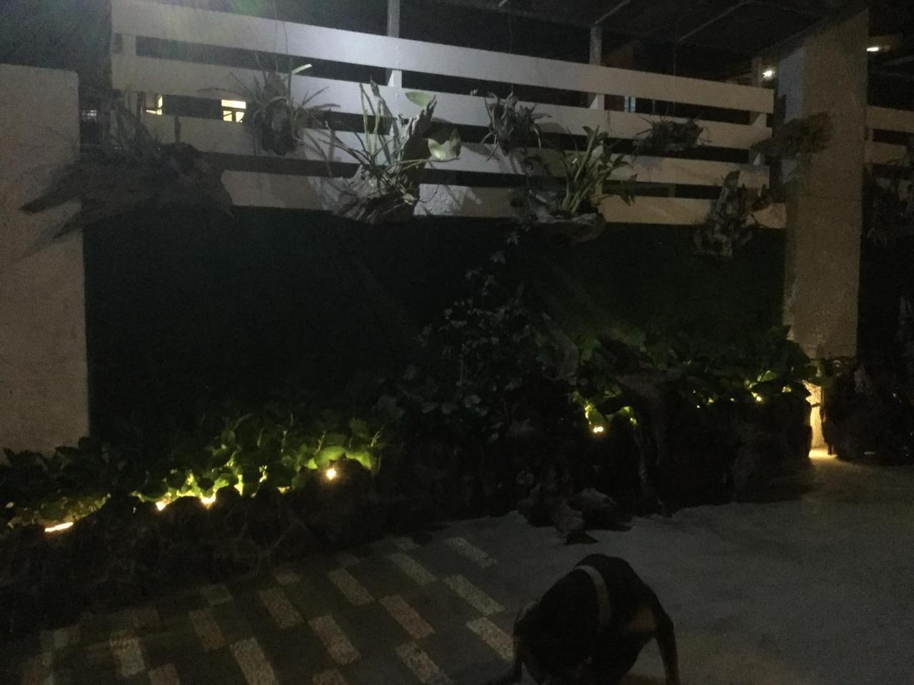 Sky View Home 大叻 外观 照片